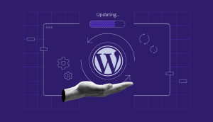 How-to-update-wordpress-1