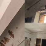 CG NEWS: बरसात में बढ़ी चिंता: जर्जर स्कूल भवनों में