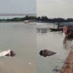 RAIPUR BREAKING : महादेव घाट में मिला अज्ञात शव, मचा हड़कंप