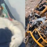RAIPUR CRIME NEWS : शराब पार्टी के बहाने बुलाया, दोस्त