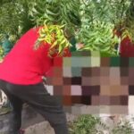 CG SUCIDE NEWS: नीम के पेड़ पर फंदे से लटका मिला 39