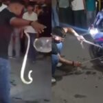 Viral Video: ₹3 लाख की स्पोर्ट्स बाइक में निकला जहरीला कोबरा