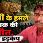 CG BREAKING : शेरनी के हमले से युवक की मौत, मचा