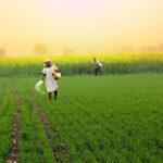 Urea Subsidy RTI: RTI में बड़ा खुलासा: एक साल में 128% बढ़ी
