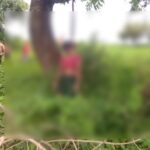 CG NEWS: जंगल में युवती का शव मिलने से मचा हड़कंप