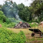बीती रात गाड़ाघाट में किसान के पैरावट में अज्ञात तत्वों ने लगाया आग,,,,15 एकड़ का पैरवाट जलकर राख,,,,,
