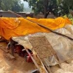 CG NEWS : हाथियों का ऐसा खौफ कि रात में घर छोड़ छतों पर