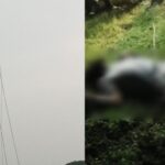 CG NEWS: दर्दनाक हादसा: बिजली विभाग की लापरवाही ने