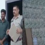 CG NEWS: खैर लकड़ी के अवैध परिवहन और फर्जी एनओसी के