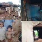 CG NEWS: हाथियों के आतंक से 3 परिवार बेघर, 5 दिन बाद भी